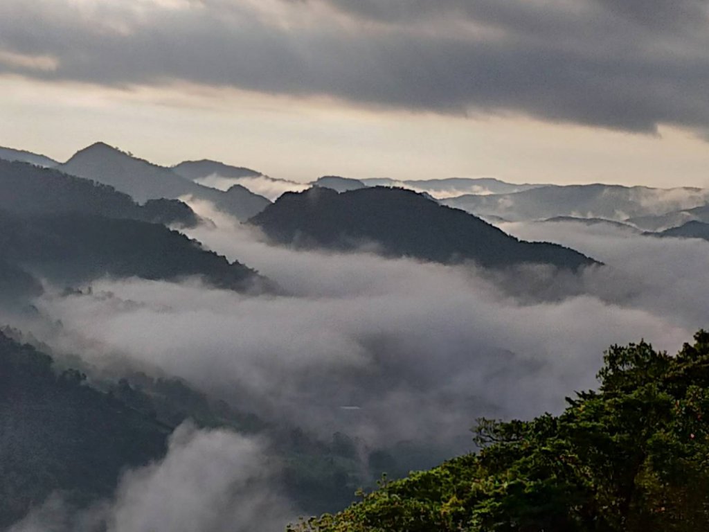 眺望雲海，漫步坪林奇跡仙境。